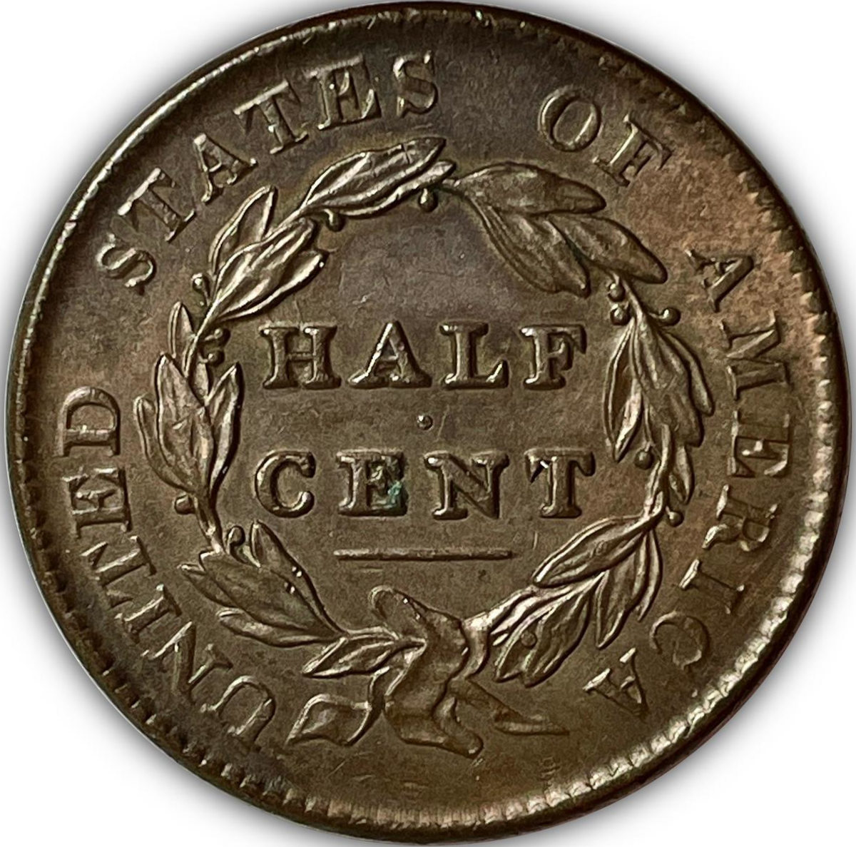 1828-1/2c-Classic-Head-Half-Cent-13-Stars